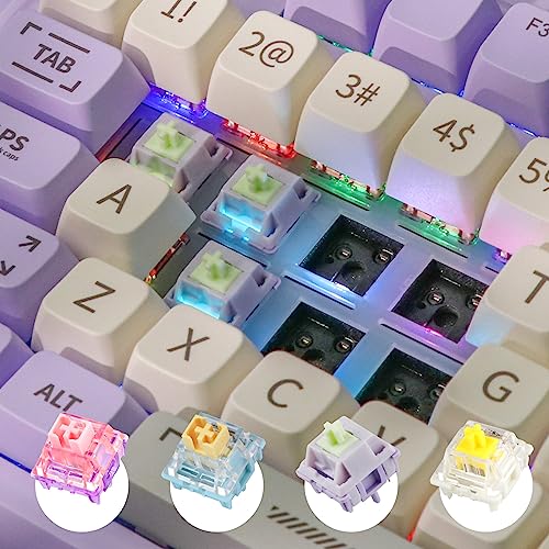EPOMAKER RT100 97 Keys Gasket BT5.0/2.4G/USB-C Mechanical Keyboard